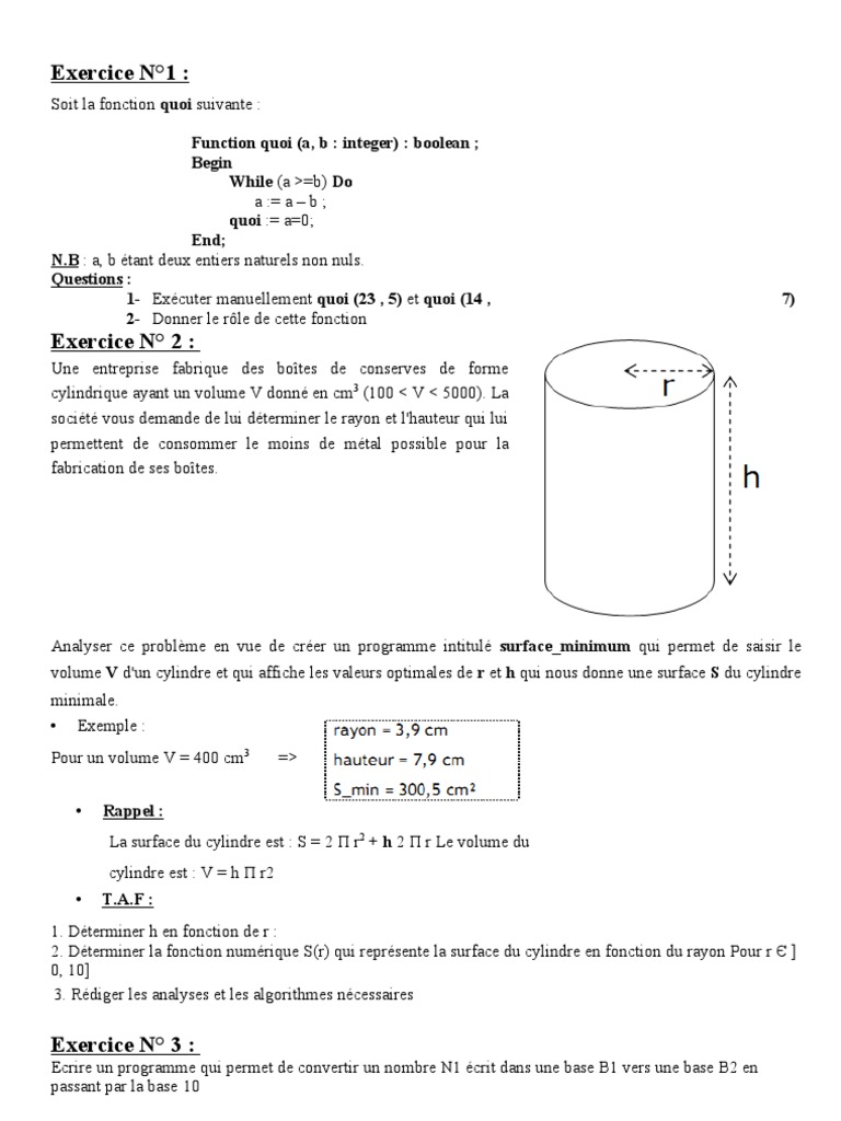 Exercices sur les algorithmes d'approximation | PDF