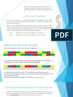 Los Genes y El Adn