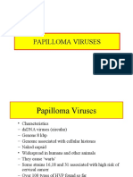 Papilloma Viruses