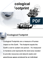 07 - Ecological Footprint