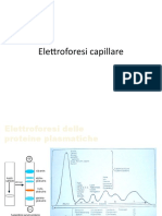 Elettroforesi Capillare