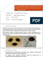 Pectinase Production by Aspergillus Niger Using Banana (Musa Banana Juice