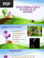 Animales de Día y Noche