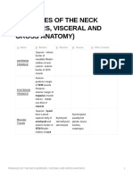 Triangles of The Neck (Borders Visceral and Gross Anatomy)