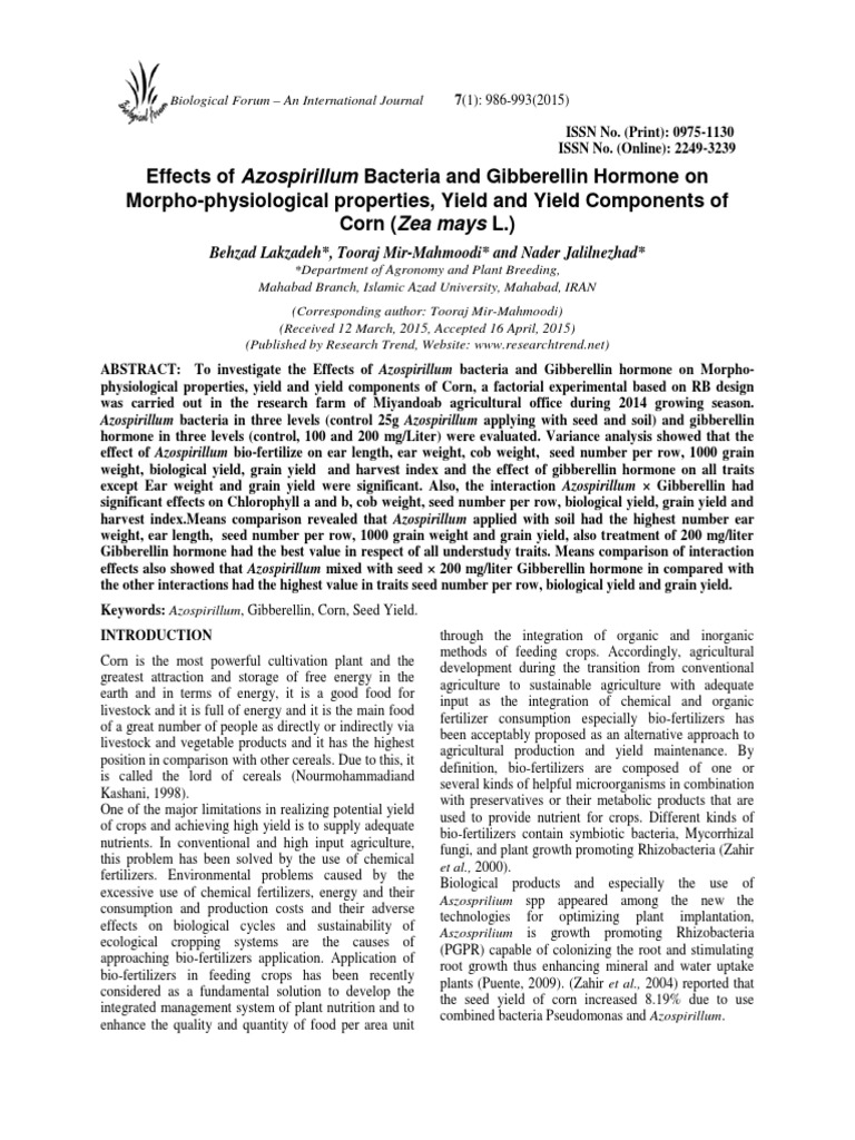 Azospirillum and Gibberellin Effects on Corn Yield | PDF | Plant ...
