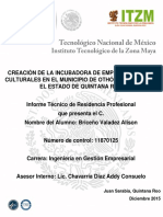 Creación Incubadora Quintana Roo