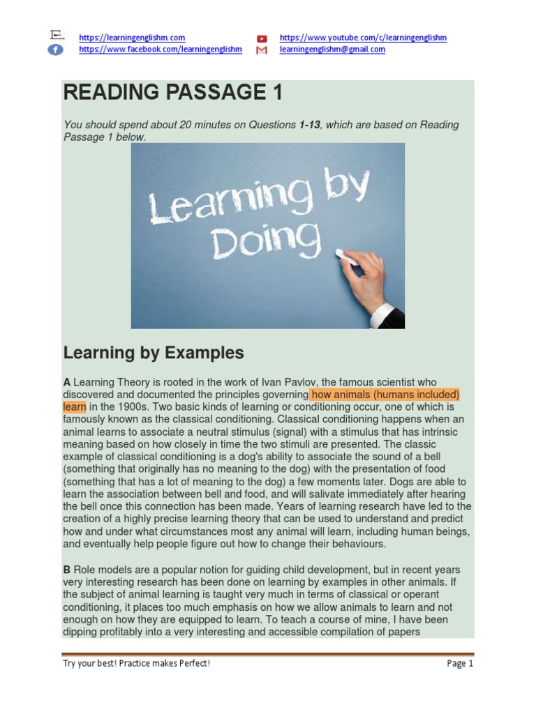 Learning by Examples in Animal Behavior | PDF | Classical Conditioning ...