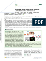 A Visible Light Cross Linkable, Fibrin Gelatin-Based Bioprinted