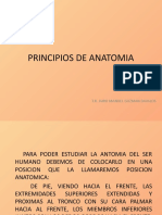 Principios de Anatomia