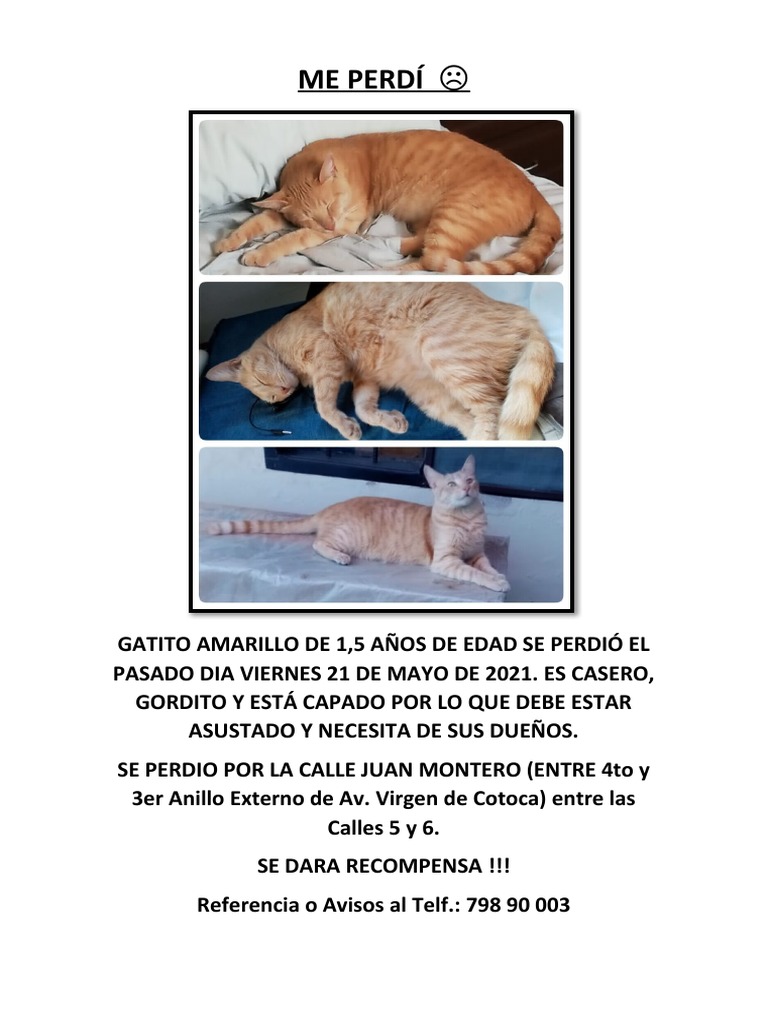 Rafito | PDF