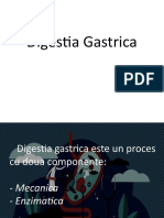 Digestia Gastrica