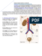 U1 L1 Bibliografia 1 FIII G1-1 1 1