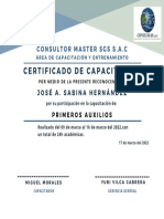 Verde Blanco y Azul Finalización Certificado (4)