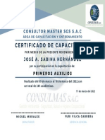 Verde Blanco y Azul Finalización Certificado (2)
