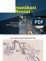 Komunikasi Neural