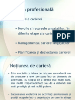 4 - Cariera Profesională