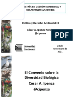 2 Derecho Ambiental Internacional Ii