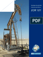 EOR-101-Geología-del-petróleo-Sistemas-petrolíferos.es.pt