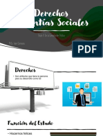 Derechos Garantías Sociales