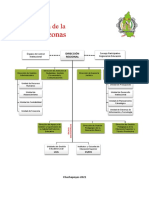 Organigrama de La DRE Amazonas