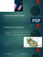 Estructura Bacteriana.