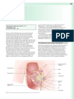 Chapter-8---Breast_2008_Human-Anatomy