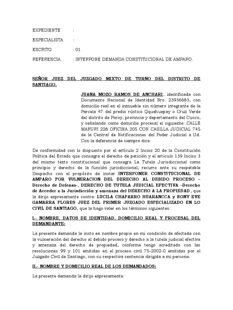 Demanda de Amparo Contra Resoluciones Judiciales | PDF | Jurisdicción ...