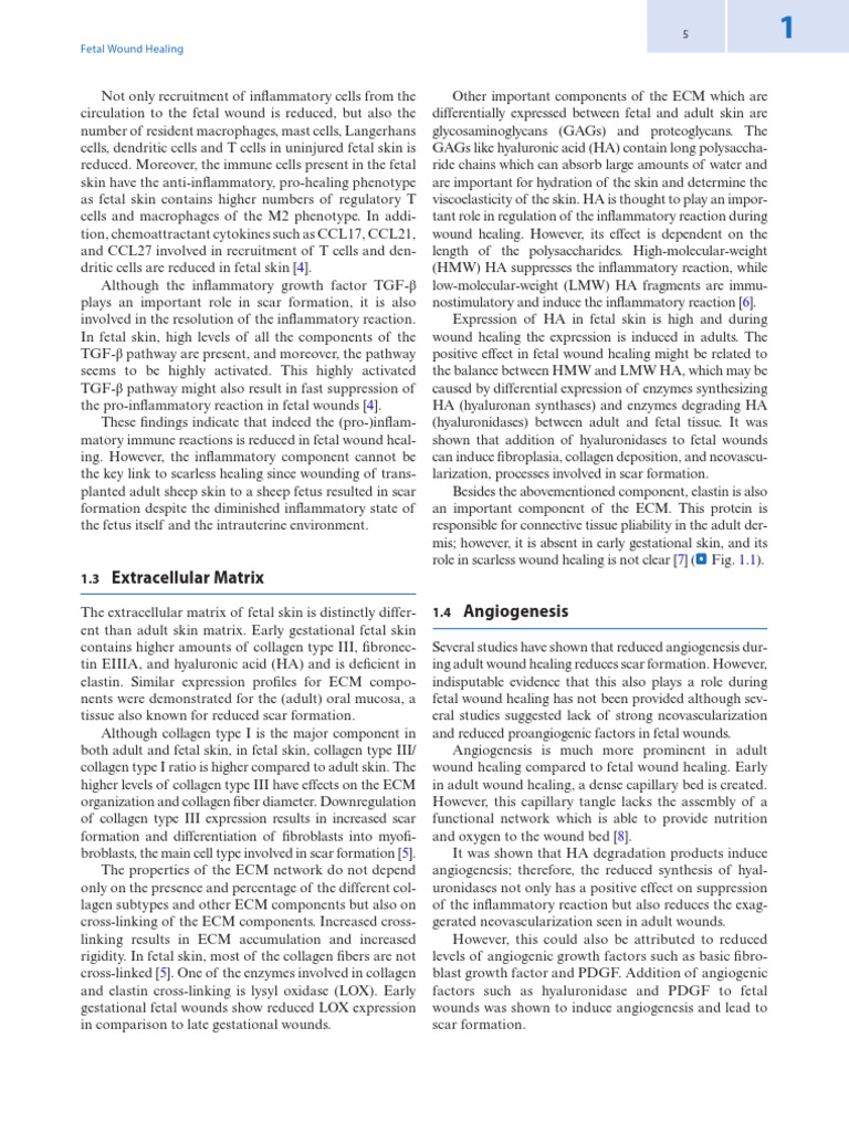 Extracellular Matrix Angiogenesis: Fetal Wound Healing | PDF ...