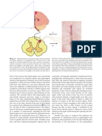 Textbook On Scar Management Teot 2021 37