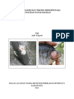 Diagnosa Klinis Dan Teknik Nekropsi Pada Patologi Ikan