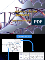 Aula2 ÁcNucleicos20102