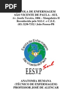 APOSTILA_ANATOMIA_2011.1[1]