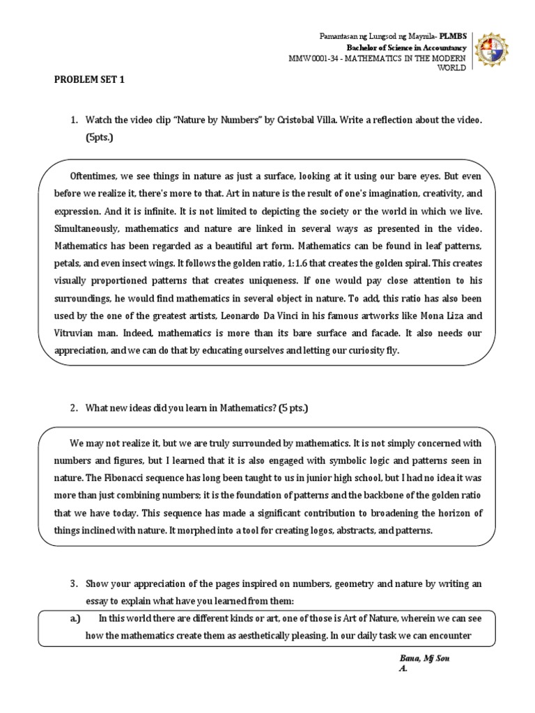 BAUA - Essay Paper | PDF | Mathematics | Pattern