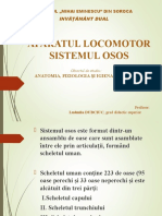 8. SISTEMUL OSOS