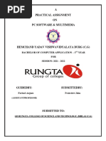 PDF Document