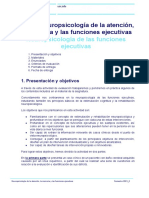 M0.369. PEC 3 - Neuropsicologia de Las FFEE