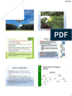 Basis of Classification: Plant Taxonomy