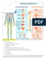 Resumen SNC y Libro El Poder Del Metabolismo