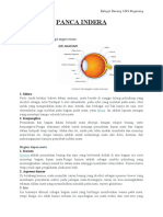 PANCA INDERA+latihan Soal