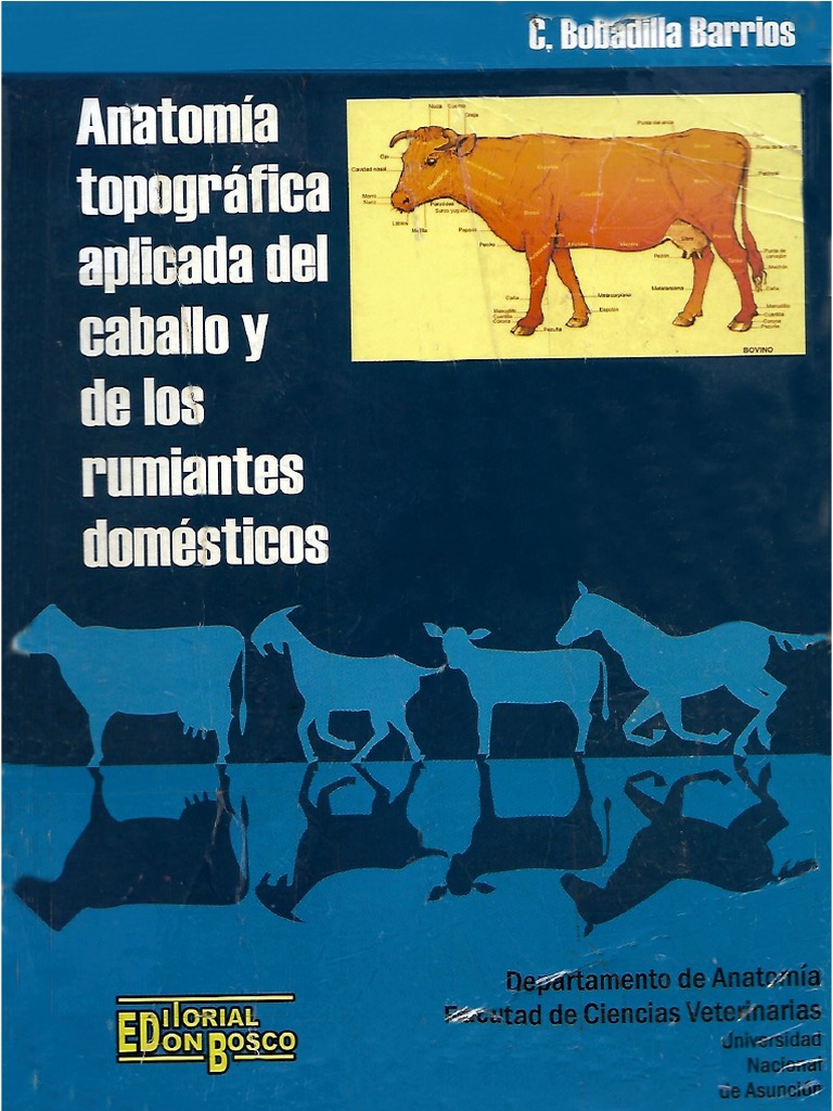 Ecografía Doppler de Arterias Uterinas: Riesgos en el Embarazo, image size:768x1024