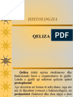 2. Qeliza (1)