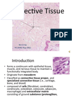 Connective Tissue (1)-Compressed