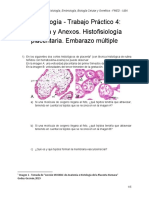 Guía TP4 - Embriología