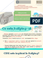 4. Școala ANTI-Bullying Broșură Nivel Liceal CJRAE Salaj 2021