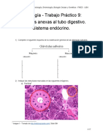 Guía TP9 Histología