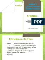 Clase 4 Niveles de Organización - Sistema Digestivo