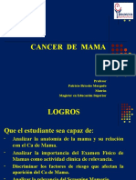Cancer de Mama 2017