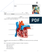 Teste3 Ciencias6