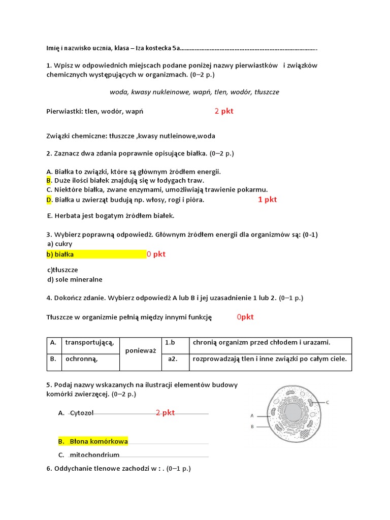 Budowa I Czynności życiowe Organizmów Sprawdzian Klasa 5 Pdf