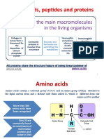 Amino Acids, Peptides and Proteins: Proteins Are The Main Macromolecules in The Living Organisms